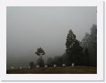 IMG_9981 * During the clinic the fog really settled in. Durante la clinica la niebla bajo demasiado. * 3264 x 2448 * (1.5MB)