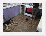 IMG_4240 * 3648 x 2736 * (3.15MB)